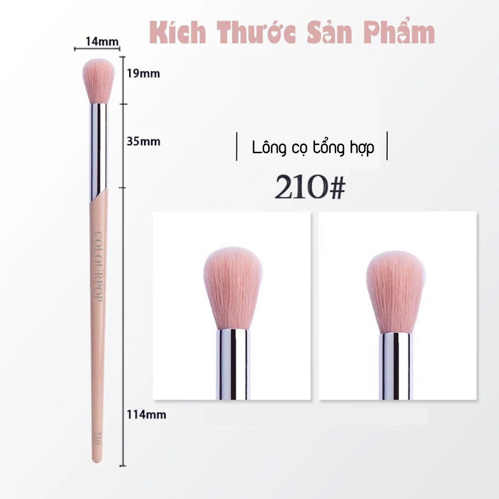  Cọ Tán Highlight Mắt COLOURPOP Eye Highlight Brush C210